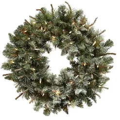 Liana Lightly Frosted Pine Pre-Lit Wreath, 30 in.
