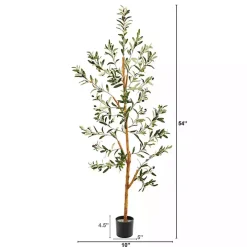 Lucky Olive Tree in Nursery Planter, 54 in.