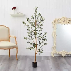 Lucky Olive Tree in Nursery Planter, 54 in.
