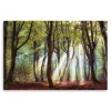 Majestic Morning Giclee Canvas Art Print