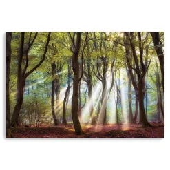 Majestic Morning Giclee Canvas Art Print