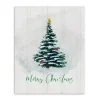 Merry Christmas Winter Pine Canvas Print