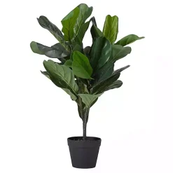 Mini Fiddle Leaf Fig Tree in Black Pot