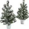 Mini Pine Trees in Tin Planters, Set of 2