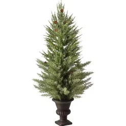 Mini Spruce Tree in Urn Planter