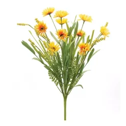 Mixed Gold Daisies Bushes, Set of 6