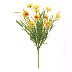 Mixed Gold Daisies Bushes, Set of 6