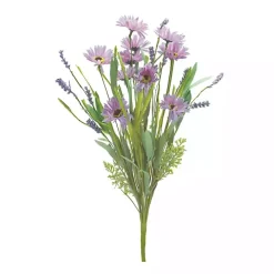 Mixed Purple Daisies Bushes, Set of 6