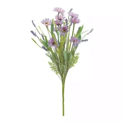 Mixed Purple Daisies Bushes, Set of 6