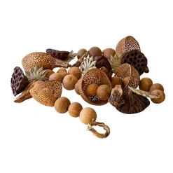 Natural Dried Botanical Garland