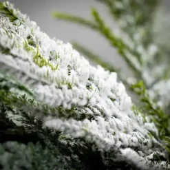 Norfolk Cedar Christmas Swag