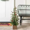 Norfolk Pine and Red Berry Tree Arrangement