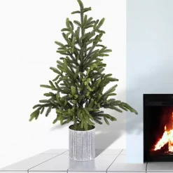 Norway Spruce Potted Christmas Tree