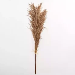Nutmeg Pampas Grass Bundle