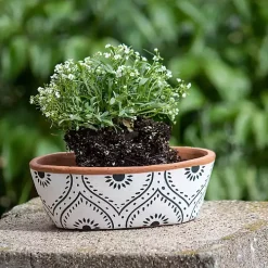 Ogee Handthrown Terracotta Planter