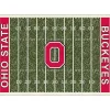 Ohio State University Home Field Area Rug, 6x8