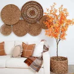 Orange Maple Tree in Black Planter, 7 ft.