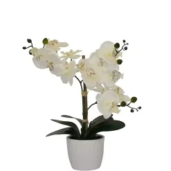Orchid Arrangement in White Decorative Pot