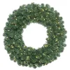 Oregon Fir Warm White Wide Bulb Wreath