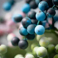 Pastel Berry Cluster Stems, Set of 3