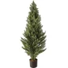 Potted Arborvitae Christmas Tree