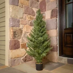 Potted Arborvitae Christmas Tree