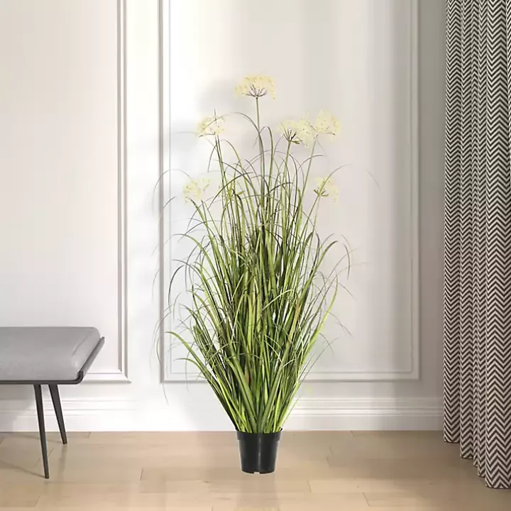 Potted Flowering Grass, 36 in.