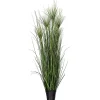 Potted Green Grass, 36 in.