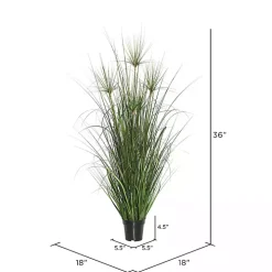 Potted Green Grass, 36 in.