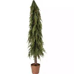 Potted Soft Touch Norfolk Pine Tree, 60 in.