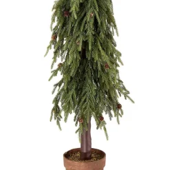 Potted Soft Touch Norfolk Pine Tree, 60 in.