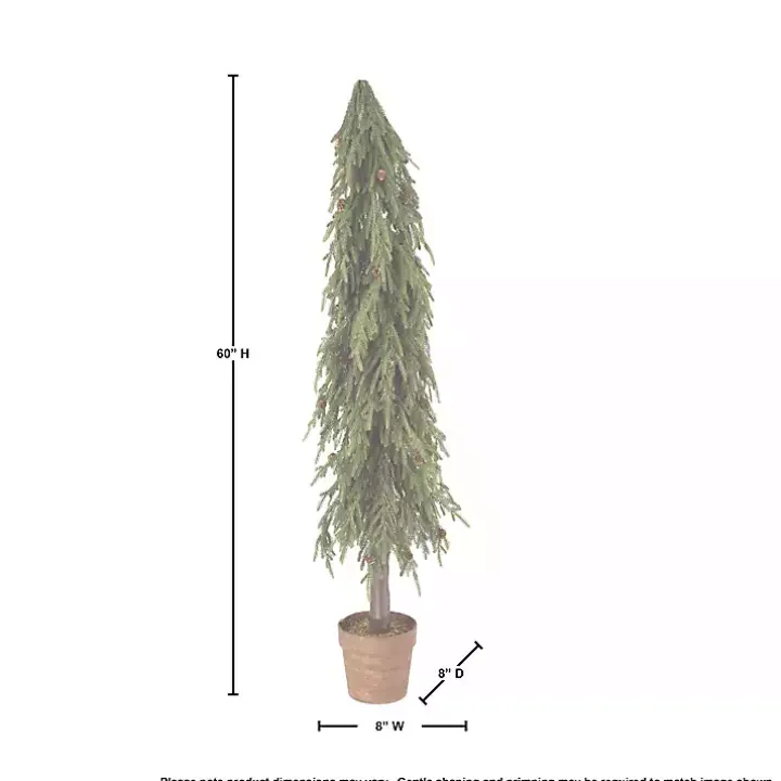 Potted Soft Touch Norfolk Pine Tree, 60 in.