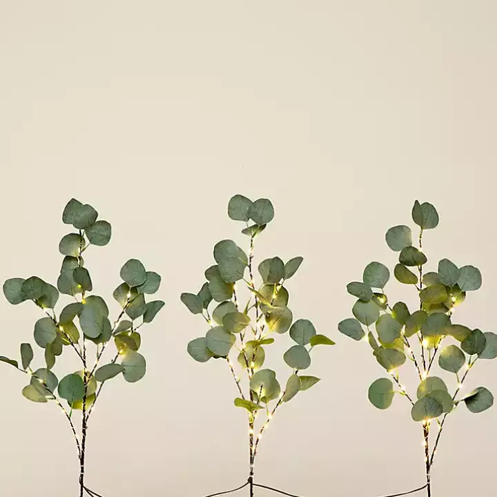 Pre-Lit Eucalyptus 3-pc. Bouquet