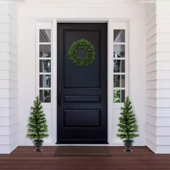 Pre-Lit 3-pc. Christmas Greenery Set