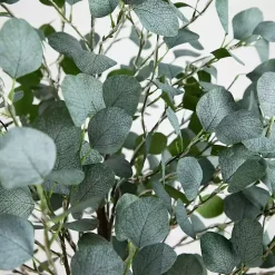 Pre-Lit Warm LED Eucalyptus Plant, 6 ft.