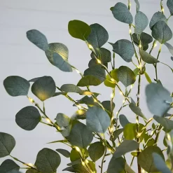 Pre-Lit Warm LED Eucalyptus Plant, 6 ft.