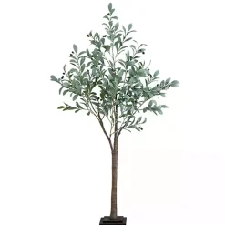 Pre-Lit Warm LED Olive Tree, 5 ft.