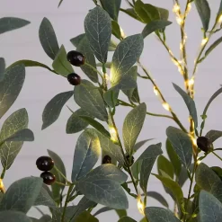 Pre-Lit Warm LED Olive Tree, 5 ft.