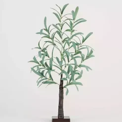 Pre-Lit Warm LED Olive Tree, 2 ft.