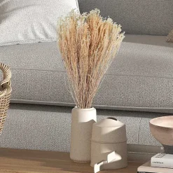 Preserved Natural Bleached Staavia Bush