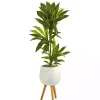 Real Touch Dracaena in Mossy Tripod Planter