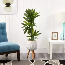 Real Touch Dracaena in Mossy Tripod Planter