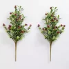 Red Berry Boxwood Bushes, Set of 2