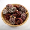 Red Glitter Cinnamon Pinecones Potpourri