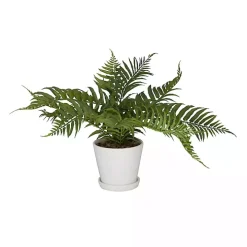 River Rock Fern in Ribbed White Planter