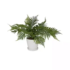 River Rock Fern in Ribbed White Planter