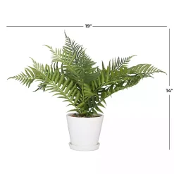 River Rock Fern in Ribbed White Planter