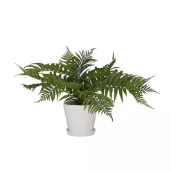 River Rock Fern in Ribbed White Planter