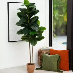 Rubberwood Tree in Planter, 6 ft.