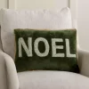 Sage Velvet Noel Pillow